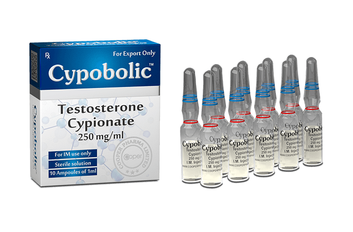 Cypobolic Cipionato de Testosterona 250mg/ml – 10ml – Anabolizantes