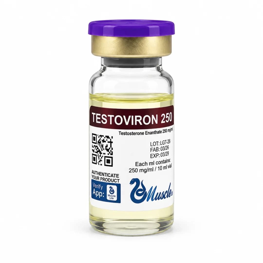 Muscle Testoviron 250mg — 10ml
