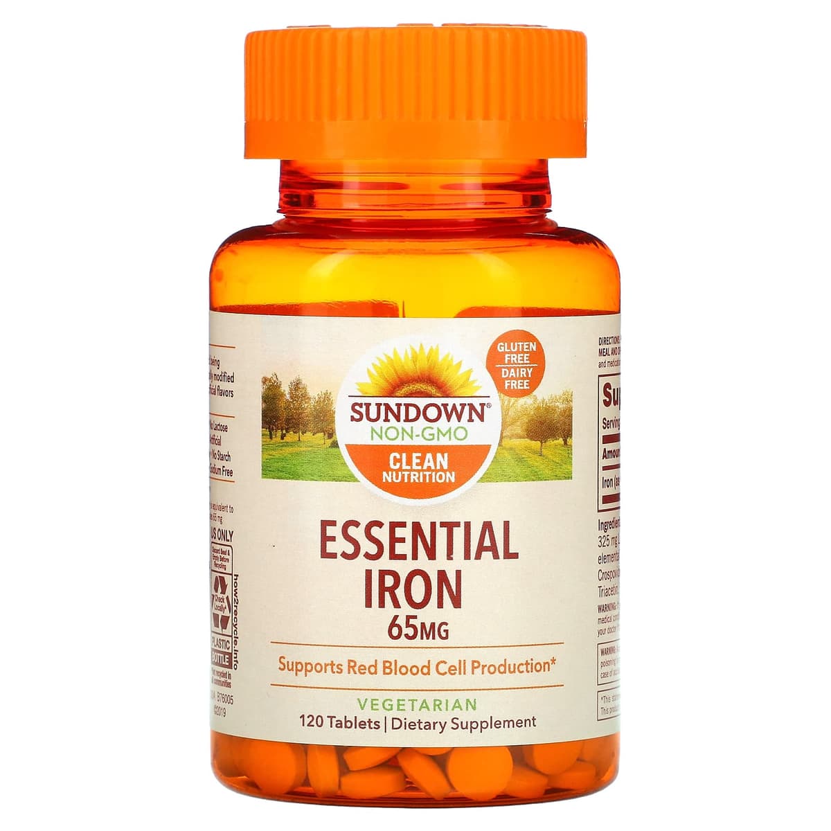 Sundown Essential Iron 65 mg 120 Cápsulas – Suplementos
