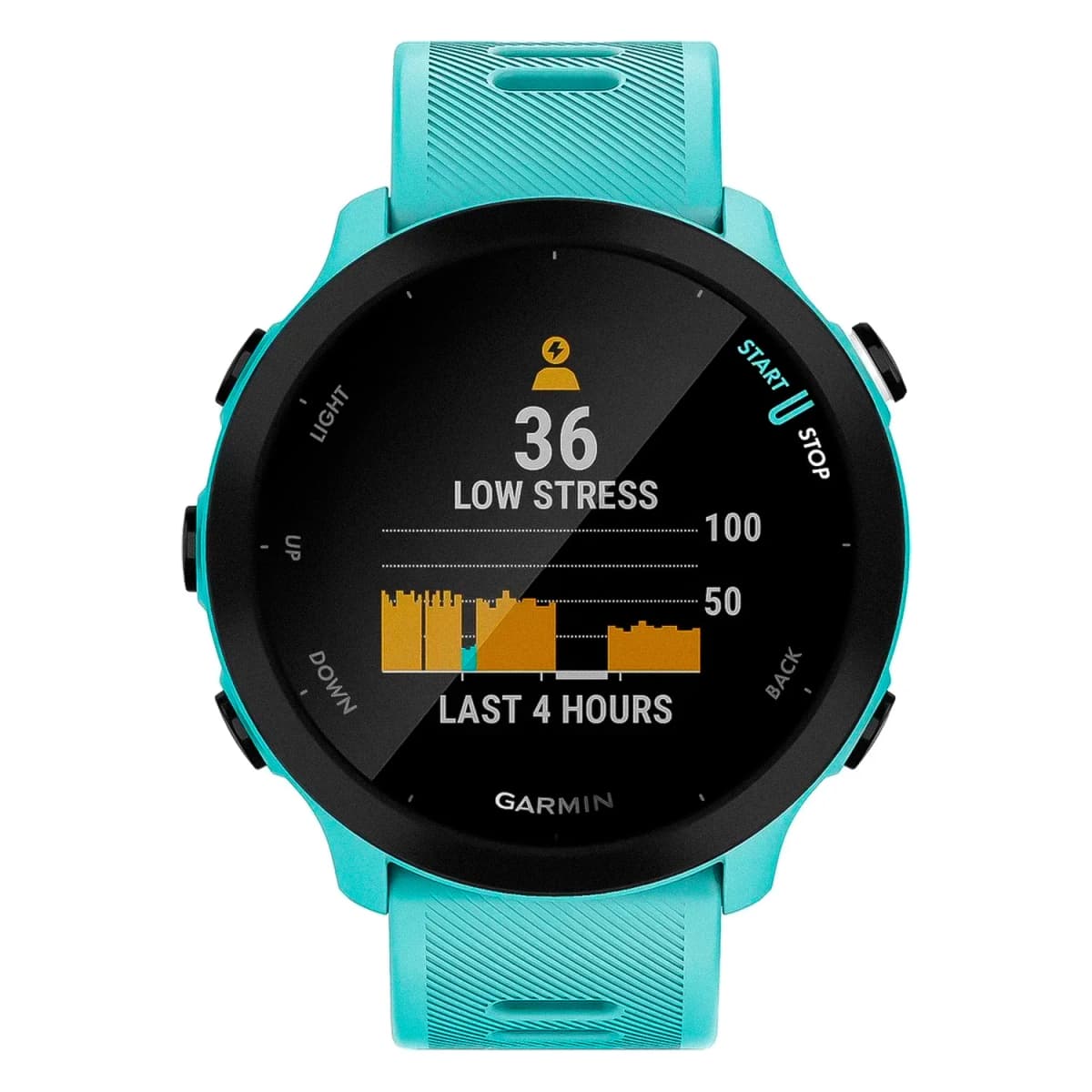 Smartwatch Garmin Forerunner 55 010-02562-02 - Azul