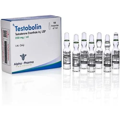 Testobolin Testosterona Enantato 250mg — 10 ampolas