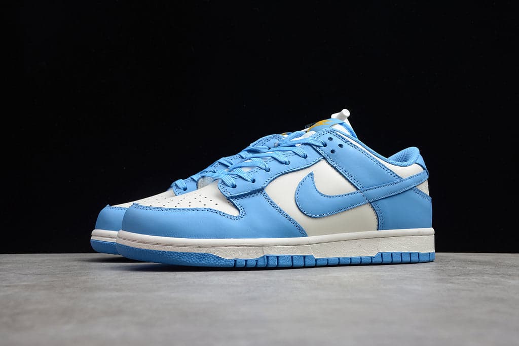 Nike Dunk Low Coast dD1503 100