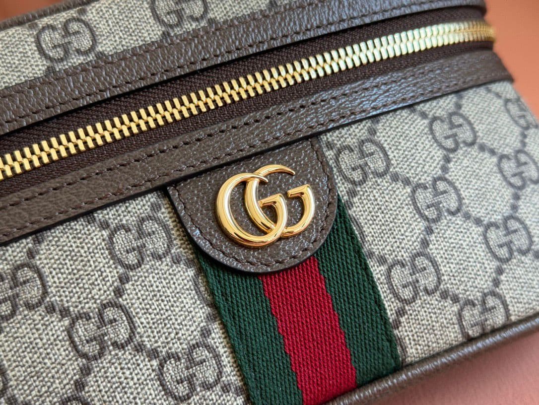 Bolsa Gucci Ophidia Small Vanity Bag