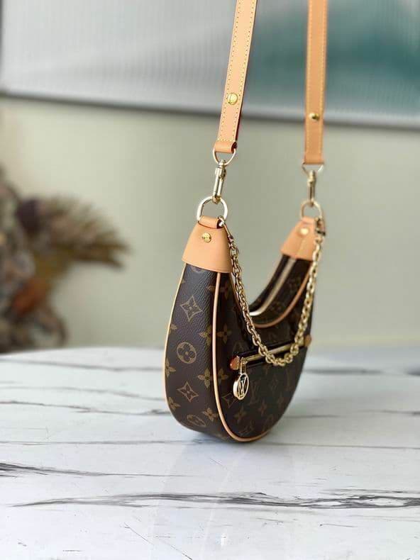 Bolsa Loop Handbag Monogram Brown.