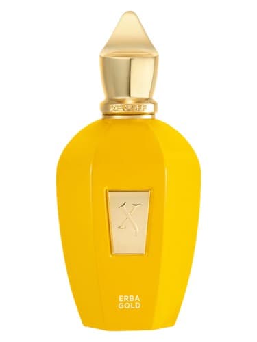 Xerjoff Erba Gold EDP 100ml – Perfumes