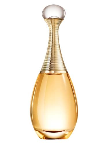 Dior J'adore EDP 100ml – Perfumes