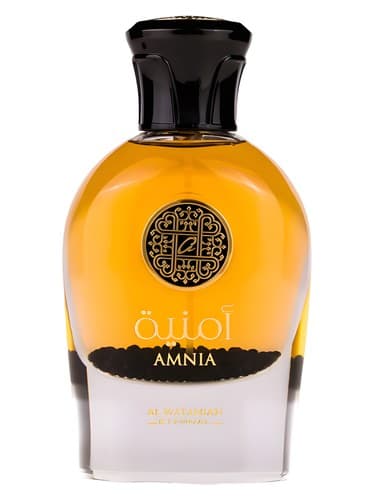 Al Wataniah Amnia Unisex 100ml – Perfumes
