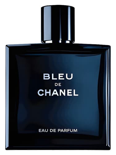 Chanel Bleu de Chanel EDP 100ml – Perfumes