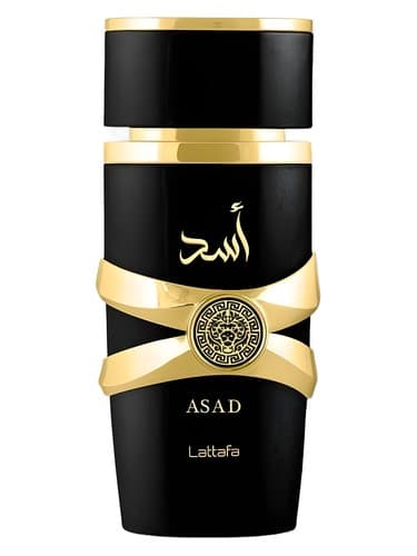 Lattafa Asad Negro 100ml – Perfumes