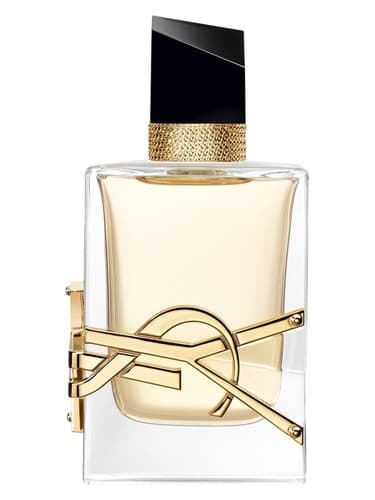 YSL Libre Femenino 90ml – Perfumes