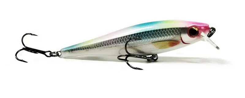 RAPALA ACCESORIOS BX Minnow BXM-10 PLASTICO 10 CM FCD